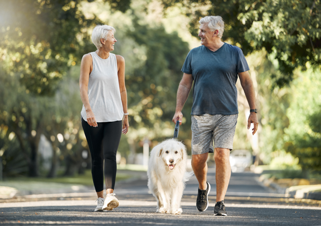 Pareja caminando con perro preguntándose cuántos kilómetros son 10.000 pasos.